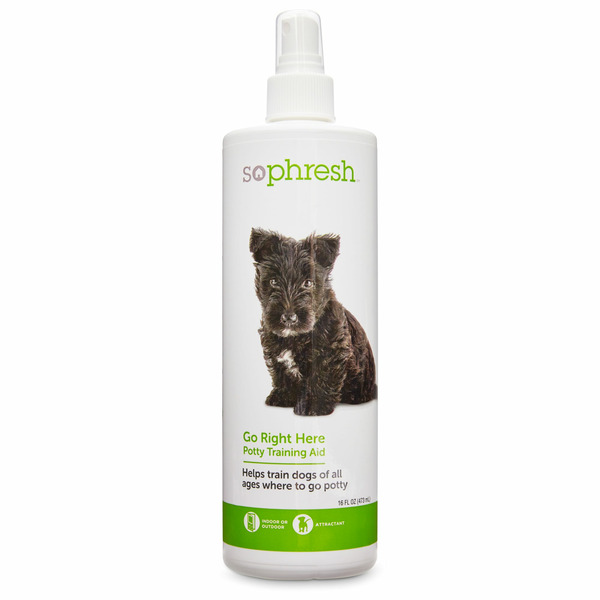 SoPhresh Potty Training Aid Spray