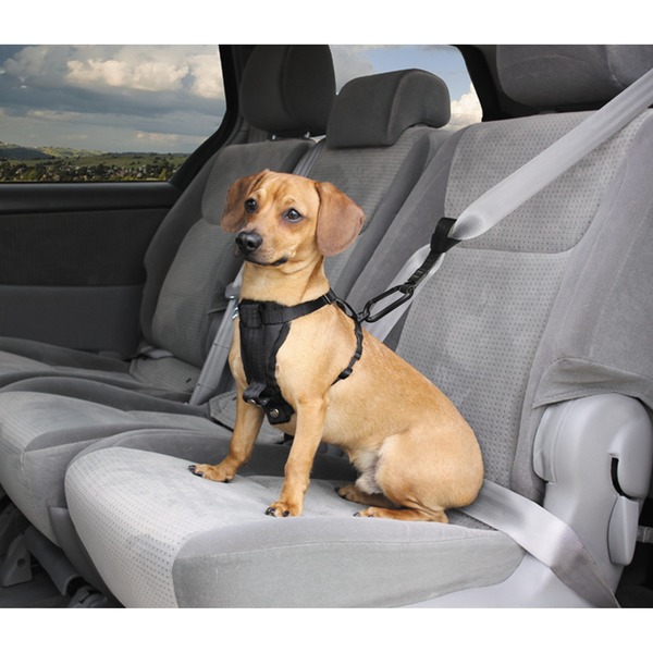 good2go auto harness