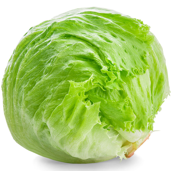 Lettuce