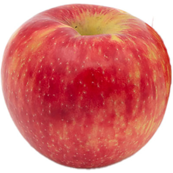 Wescott Agri Products Cosmic Crisp Apples in Euro Box