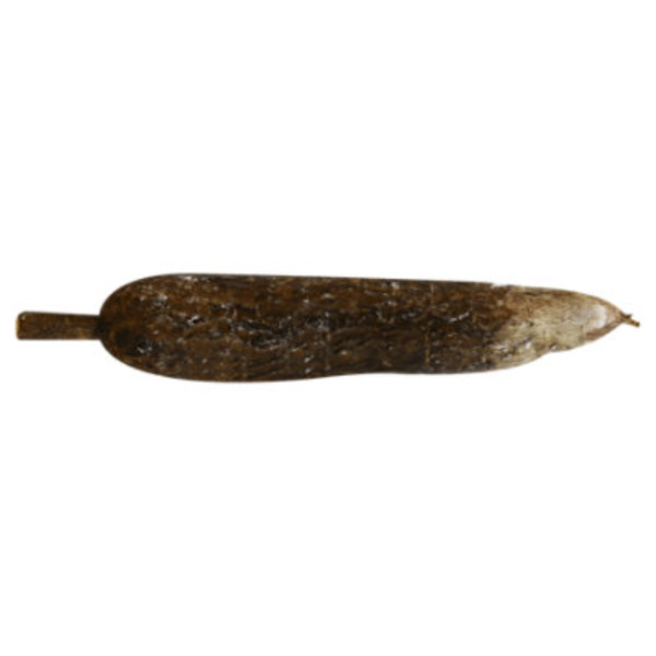 Asian Pride Yucca Root