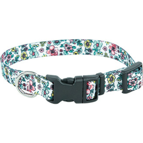 Play On Sketch Floral Dog Collar, 3/8 in