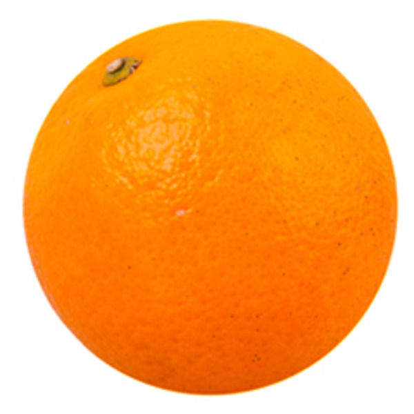Valencia Orange