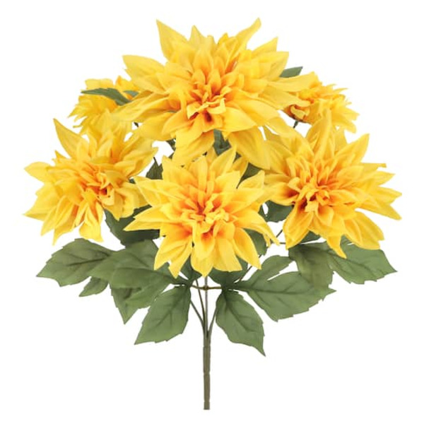 Ashland Yellow Dahlia Bush