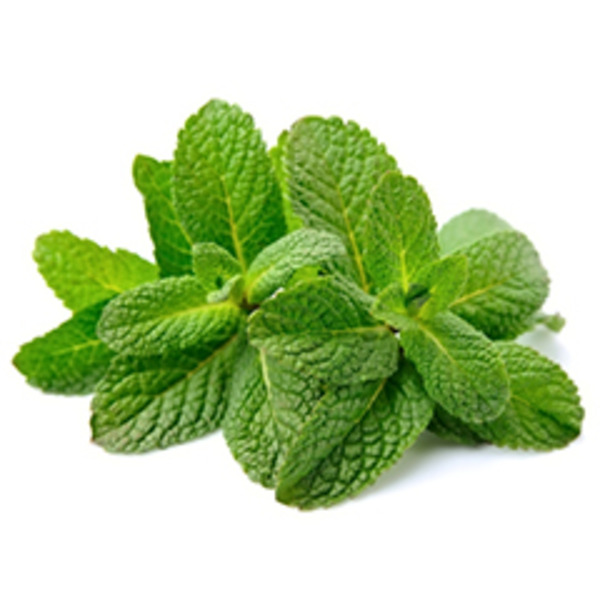 Mint