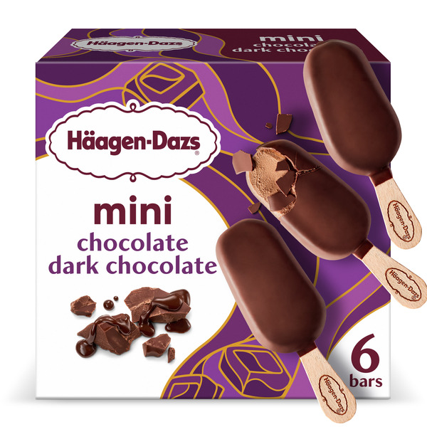 Haagen-Dazs Chocolate Dark Chocolate Mini Ice Cream Bars Same-Day