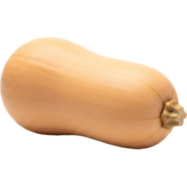 Ciruli Brothers Butternut Squash