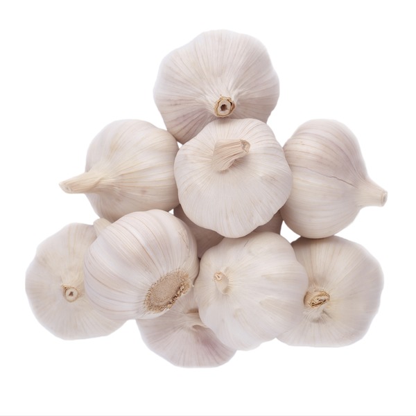 GARLIC
