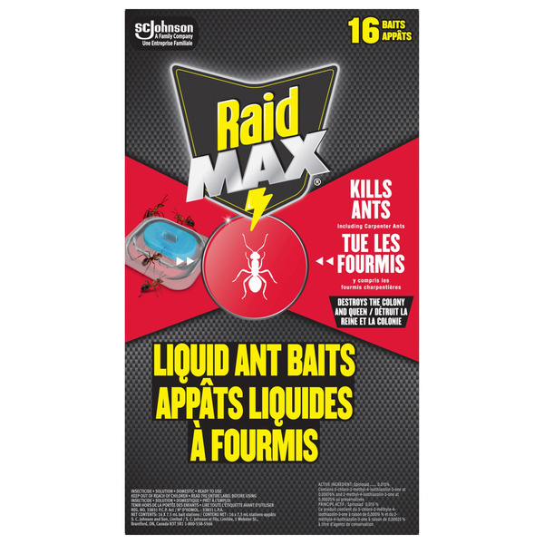 Raid Max Ant Bait