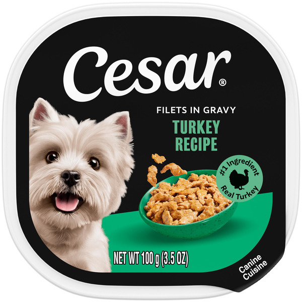 Cesar Filets in Gravy Adult Wet Dog Food, Turkey Recipe, 3.5 oz. Tray