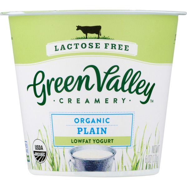 Green Valley Organics Organic Low Fat Plain Yogurt