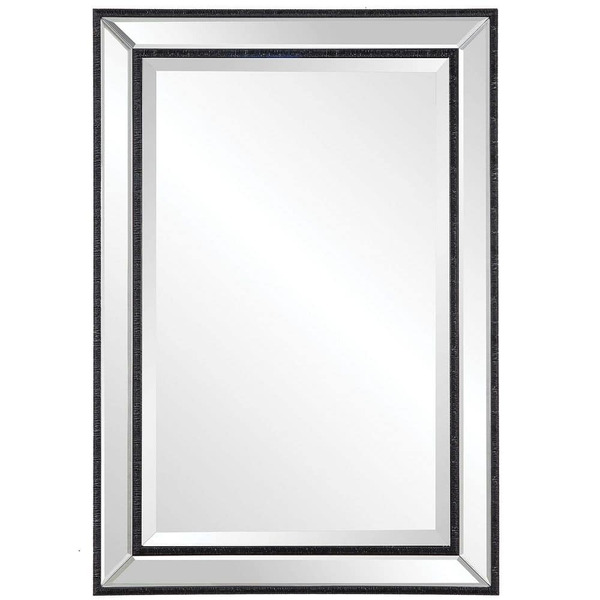Home Decorators Collection 22 In. W X 32 In. H Rectangular Polystyrene Framed Wall Bathroom Vanity Mirror In Black