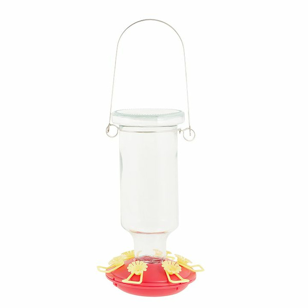 All Living Things Wild Bird Hummingbird Feeder