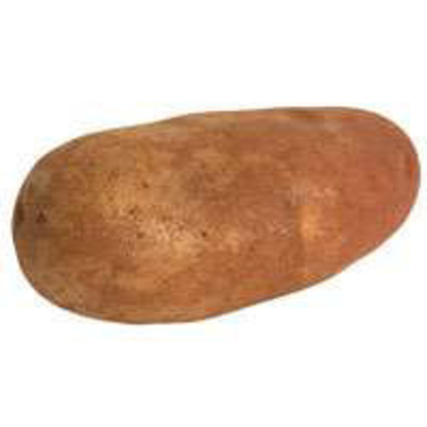 POTATOES BAKER RUSSET ORGANIC