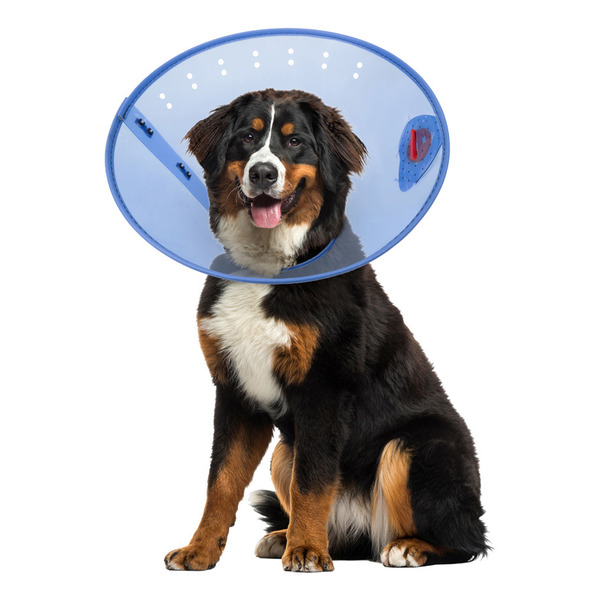 Calm Paws Behavior Support Calming E-Collar