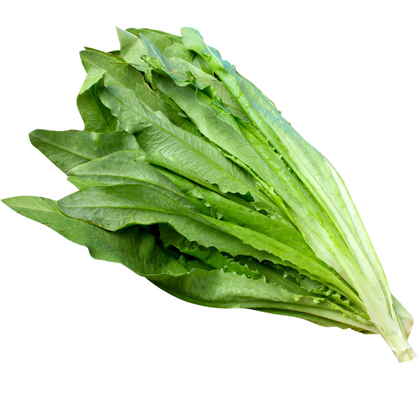 Taiwan Lettuce A Choy