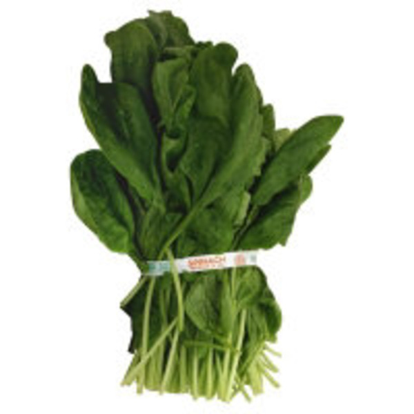 Organic Spinach Bunch