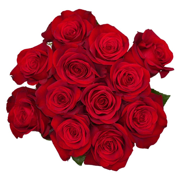 CPF 50/50 Cut Roses Same-Day Delivery or Pickup | Rosauers Supermarkets