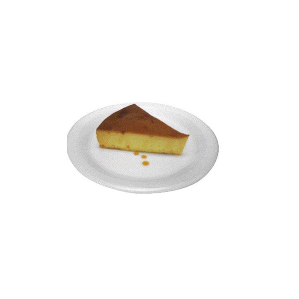 Custard Slice