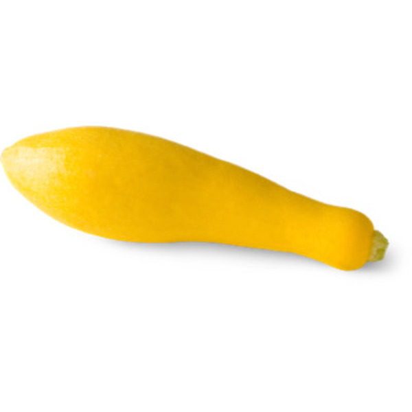 Legacy Squash
