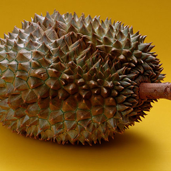 Durian