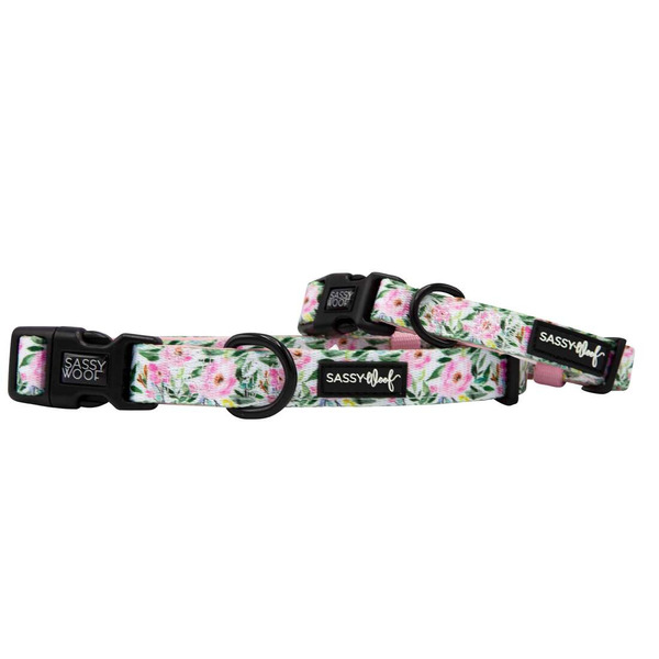 Sassy Woof Dog Collar, Large - Magnolia
