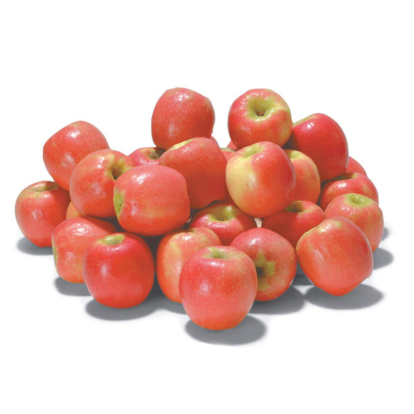Pink Lady (Cripps) Apple