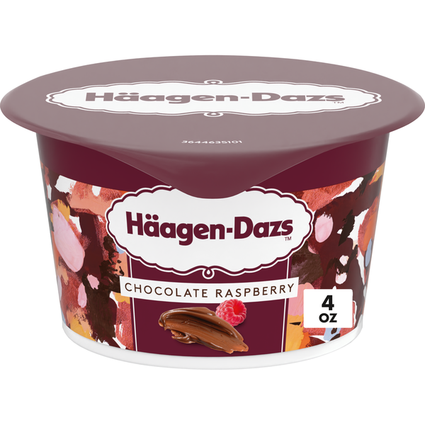 Häagen-Dazs Chocolate Raspberry Yogurt Style Cultured Cream Snack