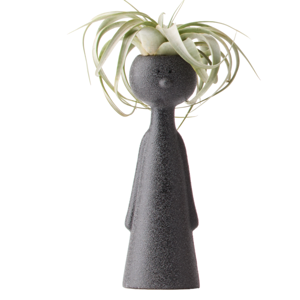 Live Trends Bold Thinkers Ceramic Air Plant Figurine