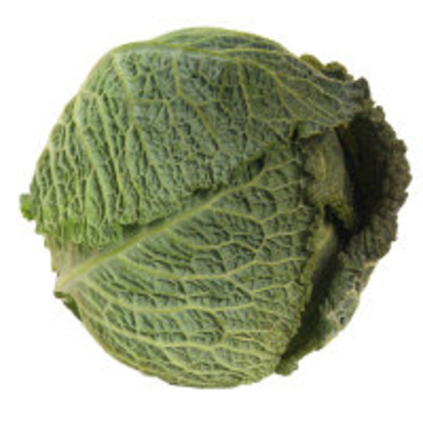 Green Savoy Cabbage