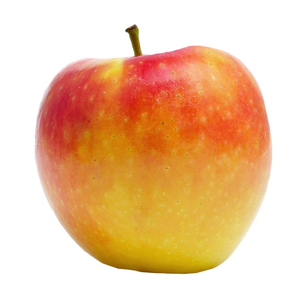 Envy  Apples, Tote
