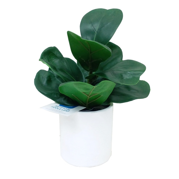 Artificial Small Plant in Natural Pot - Gold Same-Day Delivery | Family  Dollar