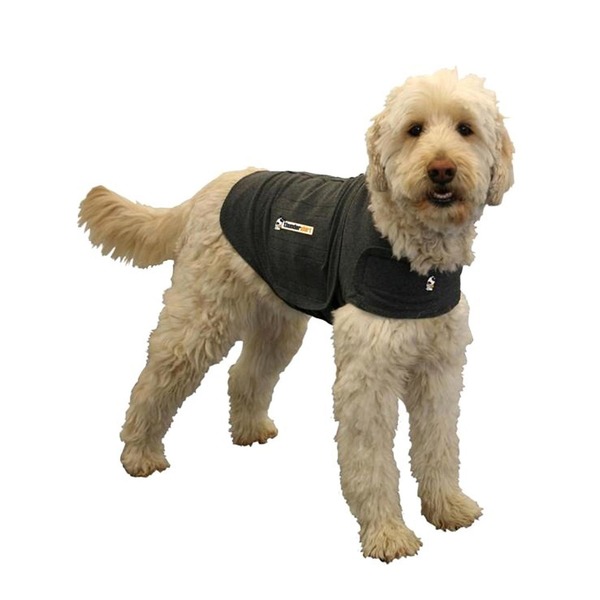 petco anxiety vest