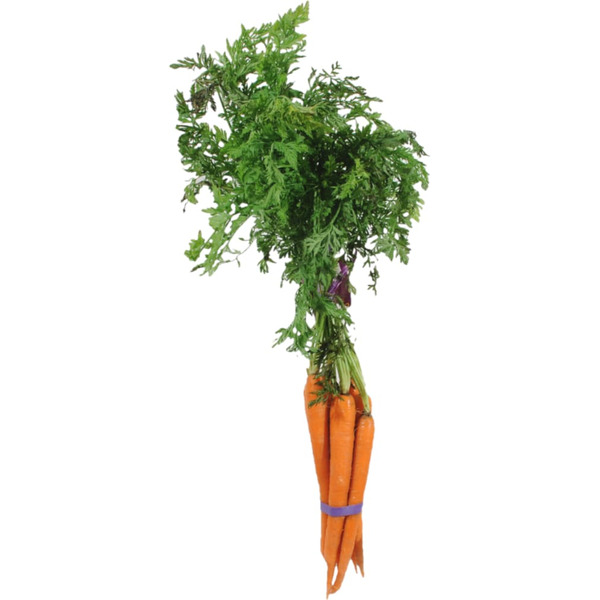 Organic Carrot Bunch