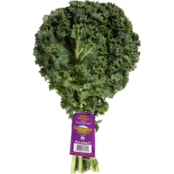 Cal-Organic Farms Organic Green Kale Bunch