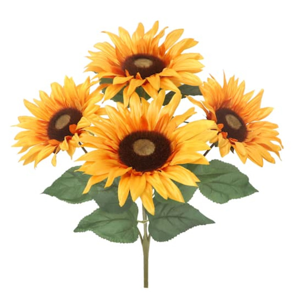 Ashland Sunflower Bush - Orange