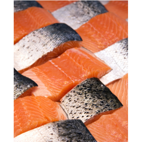 Salmon Fillet Snack Pack R/W
