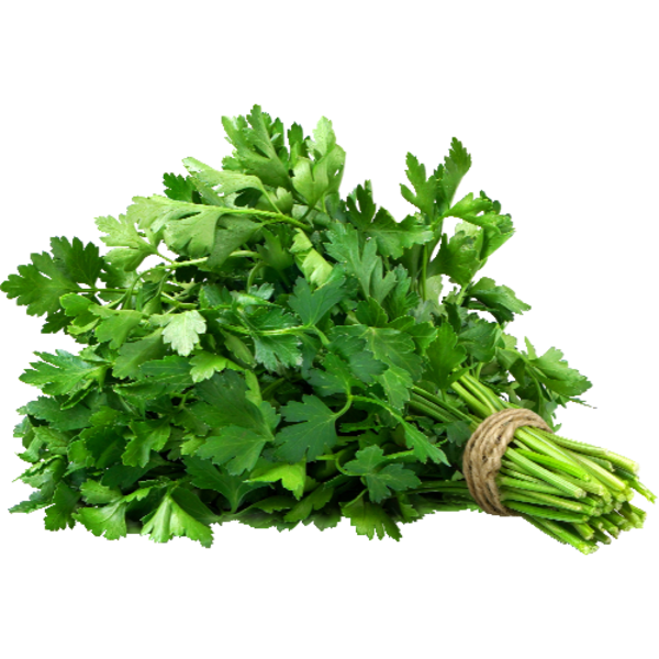 Organic Italian Parsley