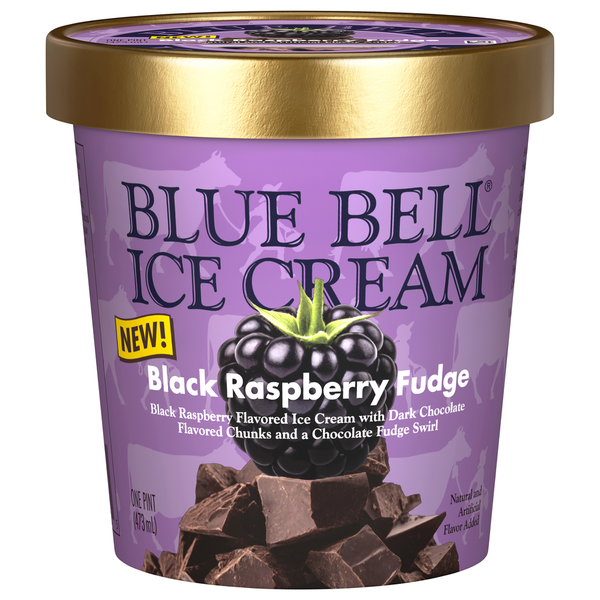 Blue Bell Black Raspberry Fudge Ice Cream