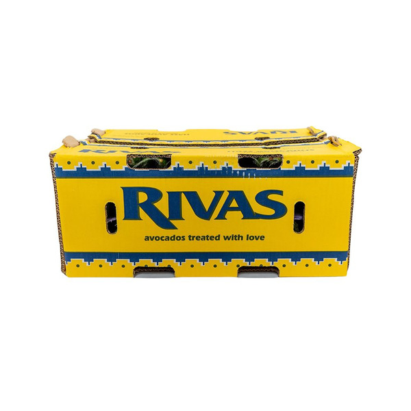 Hass Avocado, Hard Green