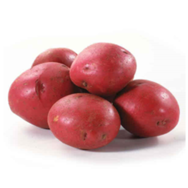 Red B Potato - 50 lbs
