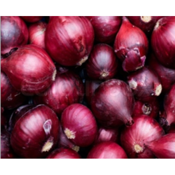 Red Onion - 10 lb bag