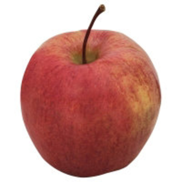 Cameo Apple