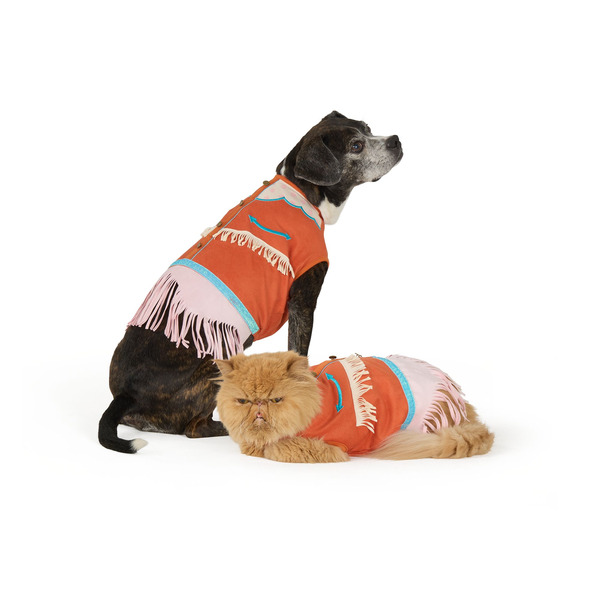 Thrills & Chills Western Dog & Cat Dress, Medium
