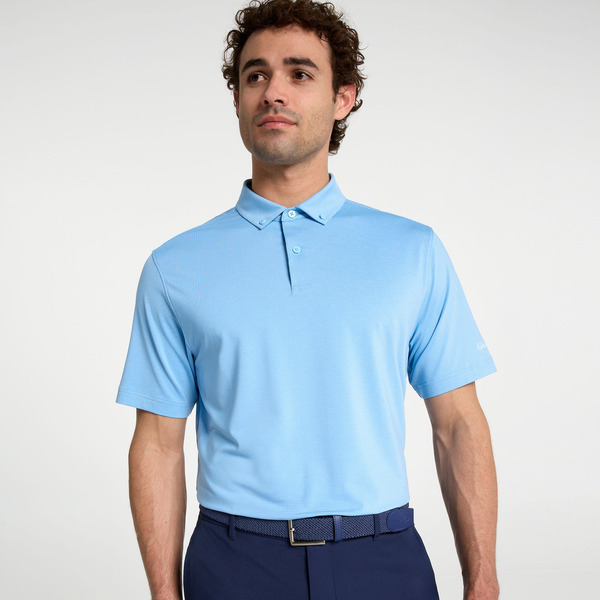 Walter Hagen Men's Performance 11 Champ Stripe Golf Polo, L - Cerulean