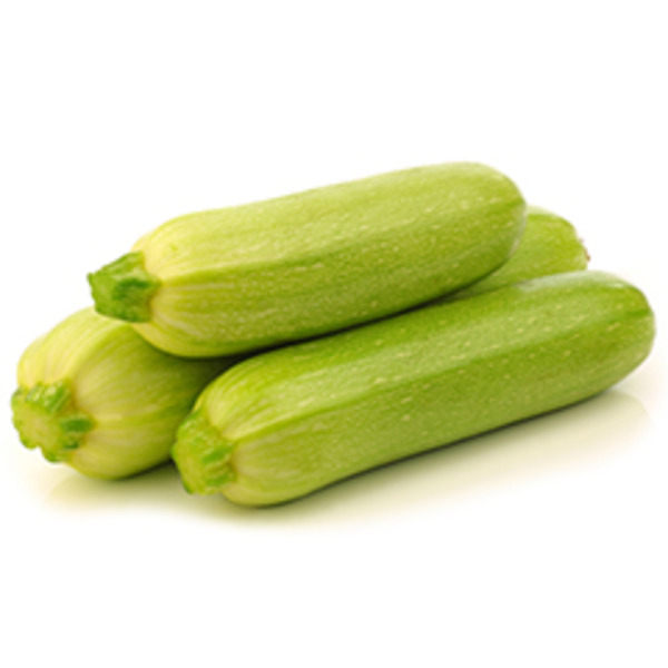 Zucchini Squash