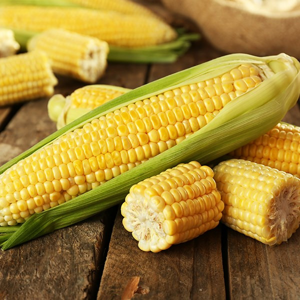 Yellow Sweet Corn