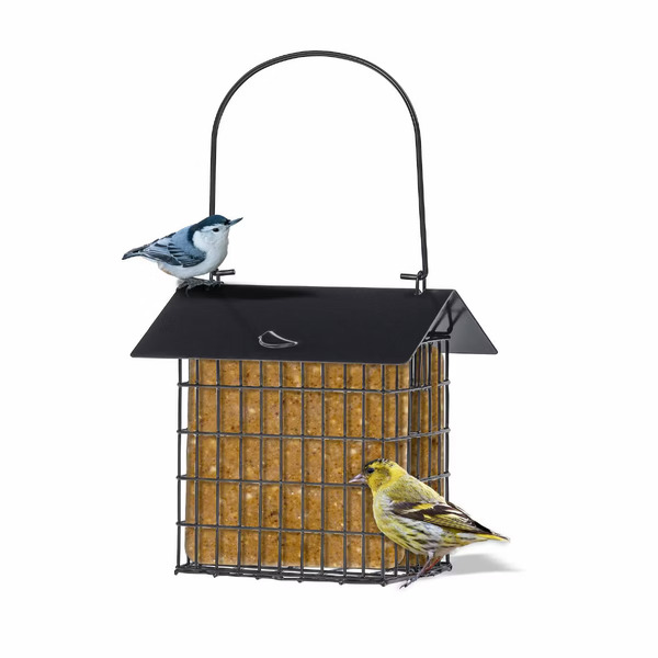 Birds Choice Modern Farmhouse Metal Double Suet Feeder