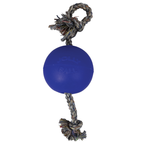 Jolly Pets Romp N Roll Dog Toy