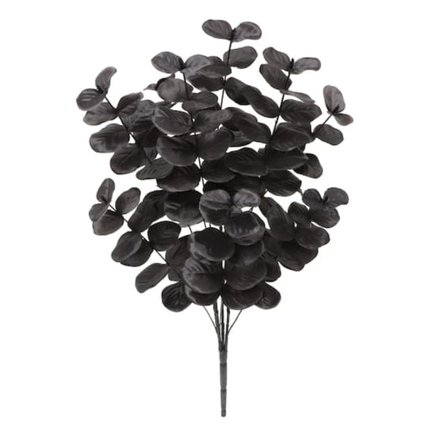 Ashland Black Eucalyptus Bush